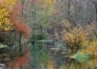 USA- Washington State- Easton and Washington Cascades water way off of Yakima River in Fall Color Art Print